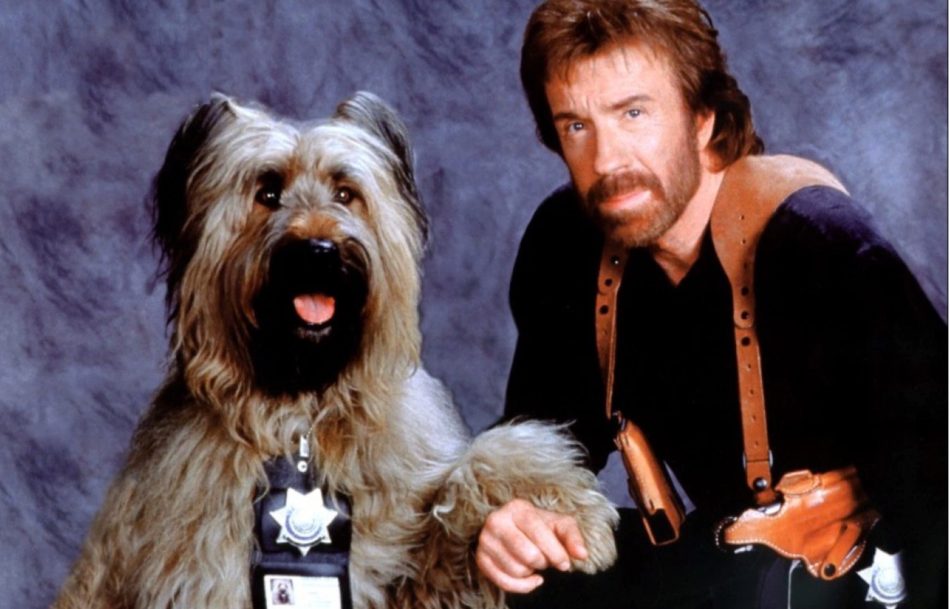 Chuck Norris Movie Top Dog