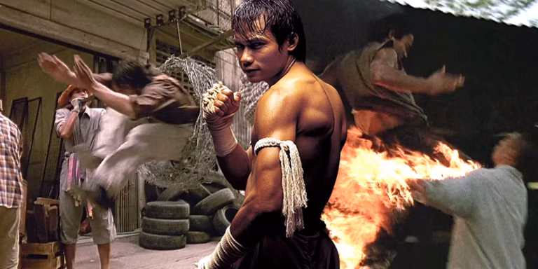 Top 20 Asian Action Movies of the 2000s